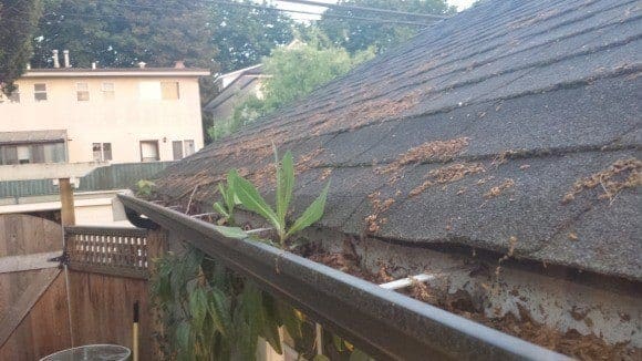 cleaning-your-gutters