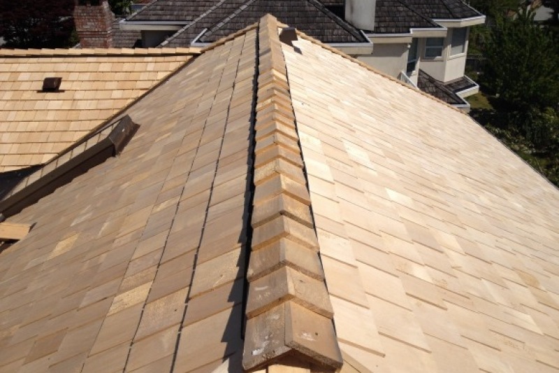 maintain-your-cedar-shake-roof
