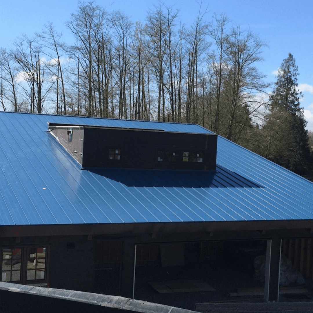 visual image of metal clad commercial roof